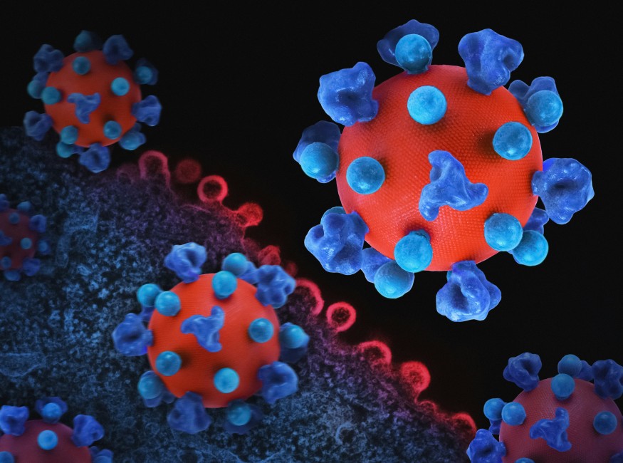 3D Presentation of Virus