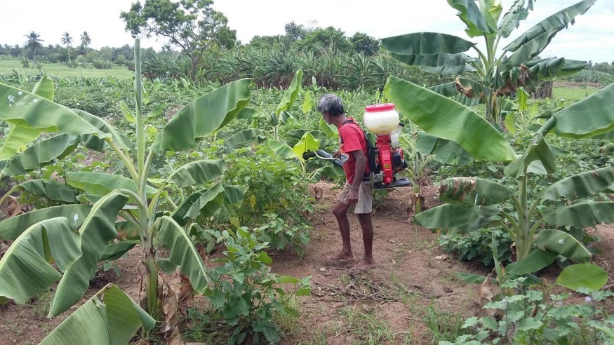 Crop Spraying (IMAGE)