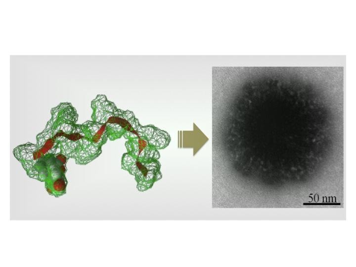 Targeting the Brain (IMAGE)