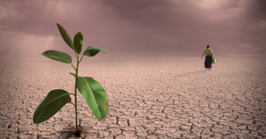 Does Climate Change Impact Mental Health?