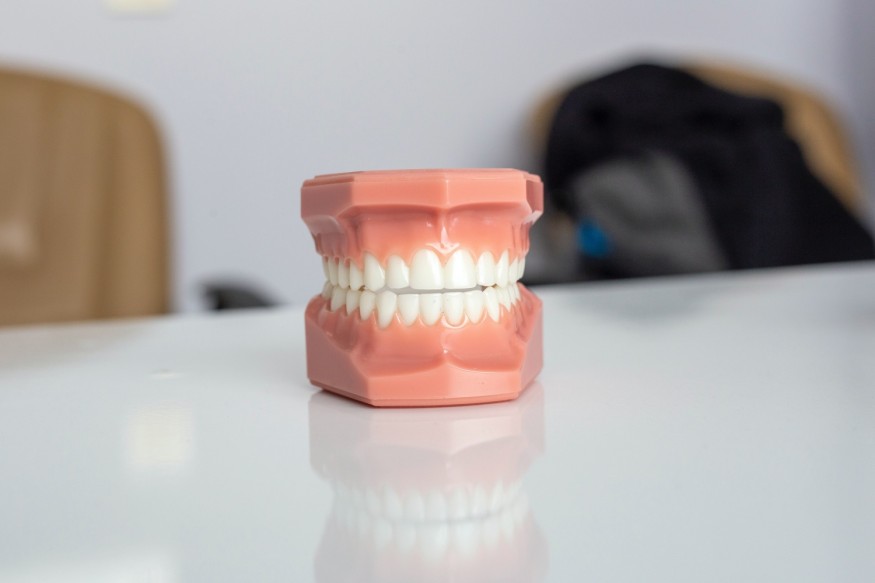 Teeth model