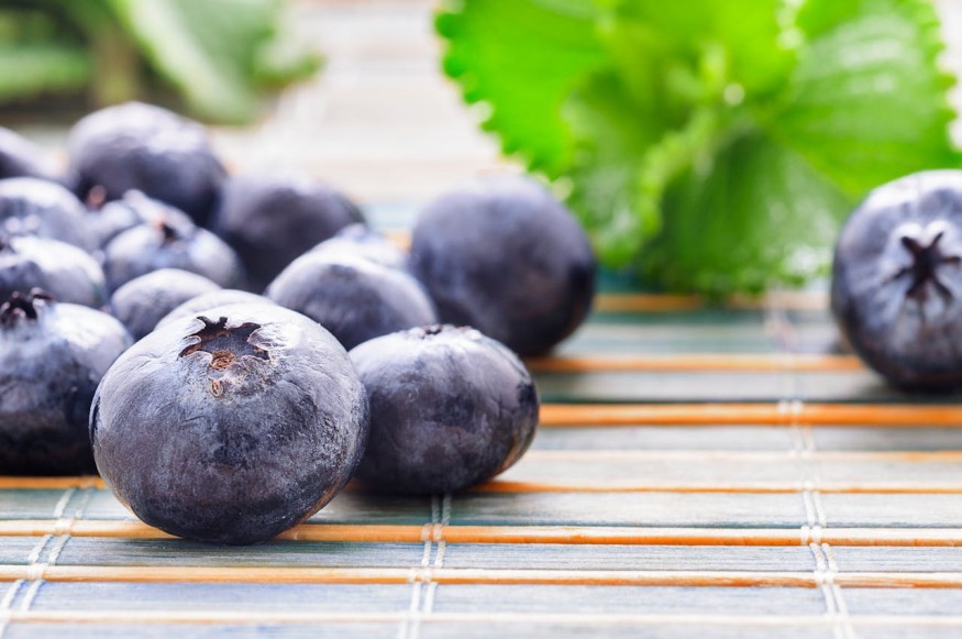 Best Types of Food to Boost Energy and Fight Burnout