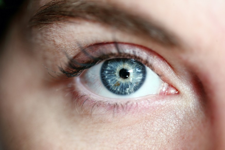 vision