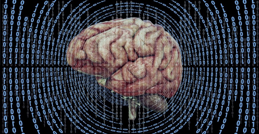 thinking brain