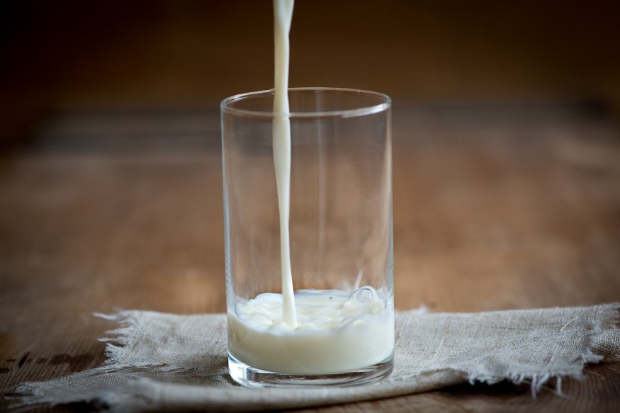 cow's milk
