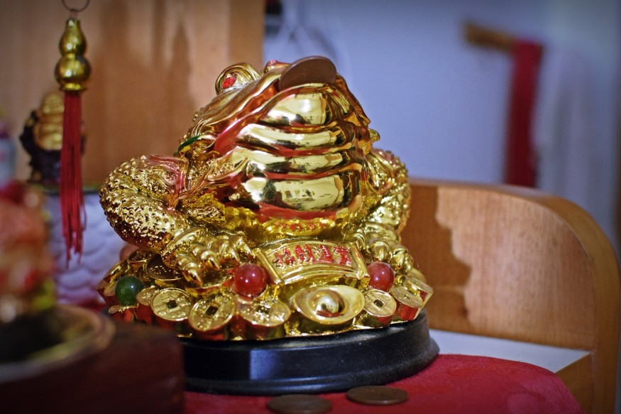 feng shui frog