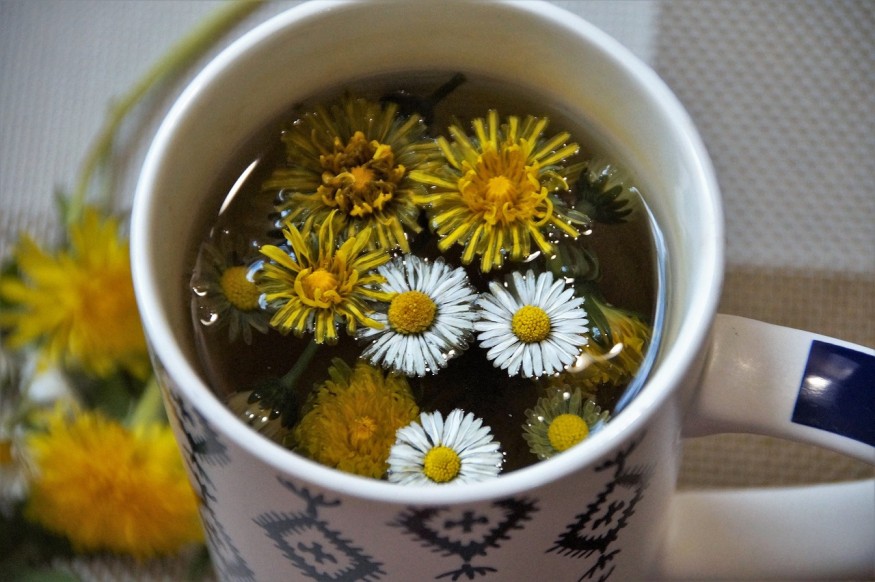 tea for parasite cleansing