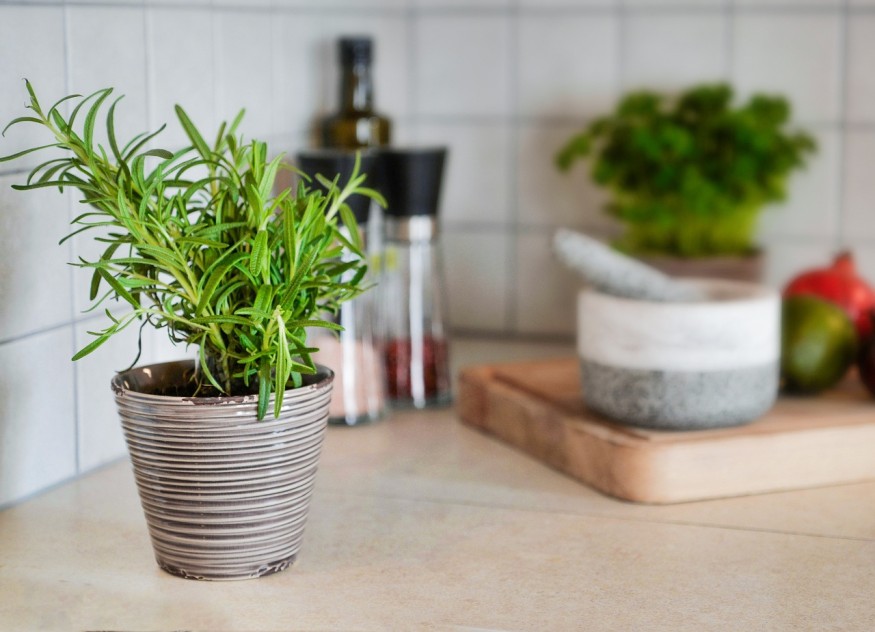 rosemary