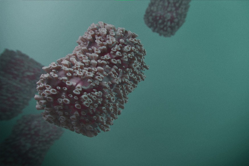 monkeypox or mpox virus